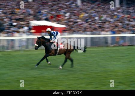 Epsom Surrey England Epsom Derby 1986 Horse & Jockey Stock Photo