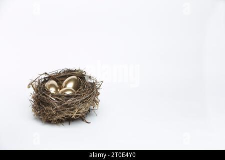 Golden egg in birds nest Stock Photo
