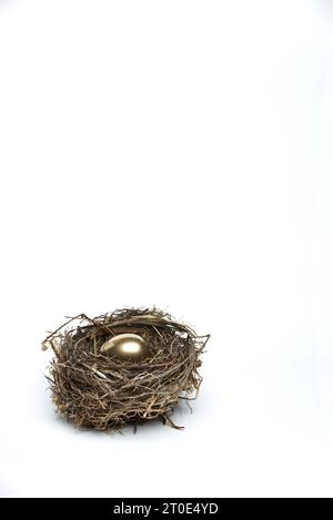 Golden egg in birds nest Stock Photo