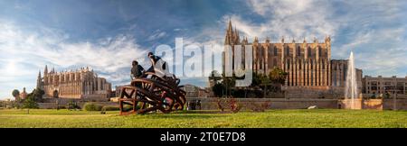 An alternative panoramic image of Palma de Mallorca's Cathedral, depicted twice from different angles. Dominated by a foreground of green grass with t Stock Photo