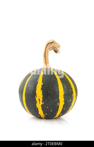 Decorative, small, striped autumn green yellow pumpkin isolation on white background Stock Photo