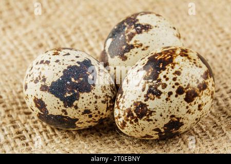 A close up of delicious Quail Eggs isolated on wooden background with copy space Stock Photo