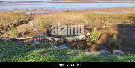 Cobequid Trail, Nova Scotia, is a 18+ kilometre recreation trail exploring the Truro Marsh and over 300+ acres of farmland on Canada's east coast Stock Photo