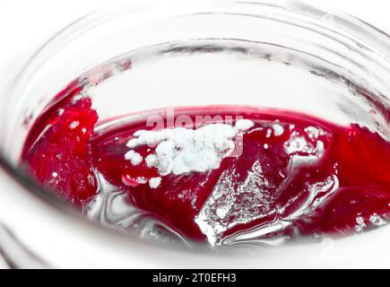 Mouldy jam in jar, perspective. Bright red berry jam with white fuzzy mould spores on top in mason jar. Concept for food safety, save to scrape off an Stock Photo