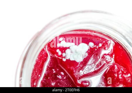 Mouldy jam in jar, top view. Bright red berry jam with white fuzzy mould spores on top in mason jar. Concept for food safety, save to scrape off and g Stock Photo