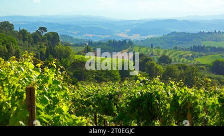 Vineyards near San Gimignano, Val d'Elsa, Province of Siena, Tuscany, Toscana, Italy, Italia Stock Photo