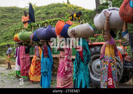 Female workers at a tea plantations in Sylhet, Bangladesh Stock Photo