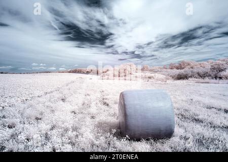 Europe, Germany, Mecklenburg-Western Pomerania, Müritz region, Mecklenburg Lake District, straw bales under cloudy sky, near Röbel-Müritz Stock Photo