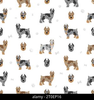 Confetti Schnauzer seamless pattern. Miniature Schnauzer Australian shepherd mix. Different coat colors set.  Vector illustration Stock Vector