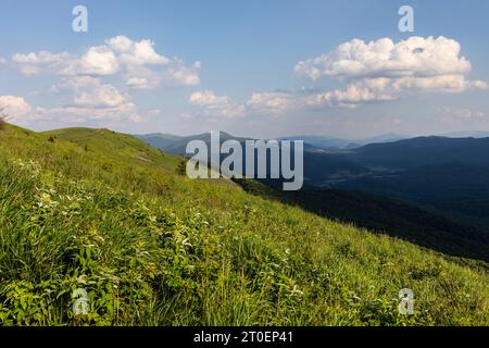 Europe, Poland, Podkarpackie Voivodeship, Bieszczady, Polonina Carynska, Bieszczady National Park Stock Photo