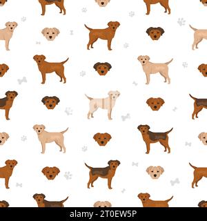 Sharp Eagle seamless pattern. Shar Pei - Beagle mix. Different coat colors set.  Vector illustration Stock Vector