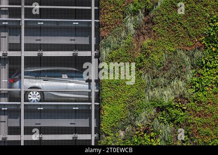 Bottrop, North Rhine-Westphalia, Germany, Wall-bound facade greening at the P+R parking garage Bottrop train station. The plants on the 80 square mete Stock Photo