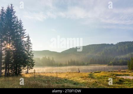 Tamsweg, morning mist on lake Prebersee, bather in Lungau, Salzburg, Austria Stock Photo