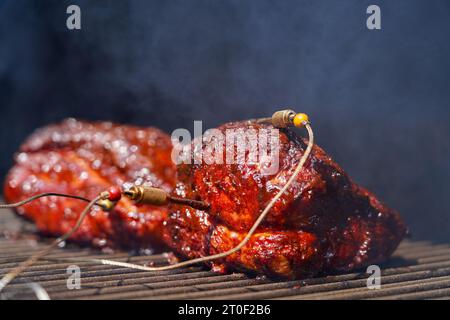 Pulled Pork Stock Photo