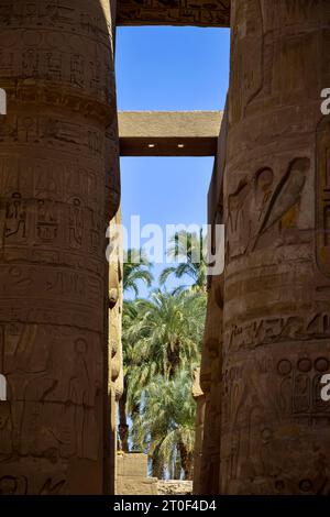 View of palm trees through tall columns of historical complex of Karnak temple with carved ancient Egyptian hieroglyphs and symbols. Great Hypostyle H Stock Photo