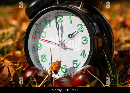 Symbol image Time change, autumn: An alarm clock among autumn leaves Stock Photo