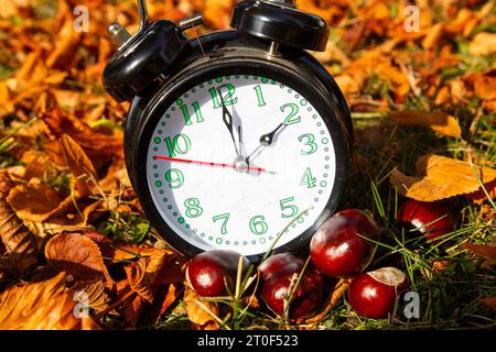Symbol image Time change, autumn: An alarm clock among autumn leaves Stock Photo