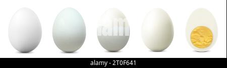 White chicken eggs isolated on white background. Textured Whole, Cracked Broken, half peeled, Peeled Boiled Egg, Hard-Boiled Egg With Yolk. Whole, Cut Stock Vector