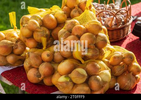 stack of red onion in bags 13944718 Stock Photo at Vecteezy
