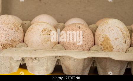 Turkey eggs put in a box. Organic fresh eggs. Homemakers' Market. Farmers' produce for sale. Stock Photo