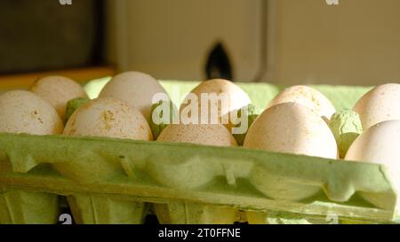 Turkey eggs put in a box. Organic fresh eggs. Homemakers' Market. Farmers' produce for sale. Stock Photo
