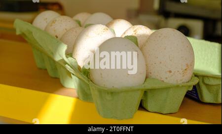 Turkey eggs put in a box. Organic fresh eggs. Homemakers' Market. Farmers' produce for sale. Stock Photo
