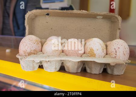Turkey eggs put in a box. Organic fresh eggs. Homemakers' Market. Farmers' produce for sale. Stock Photo