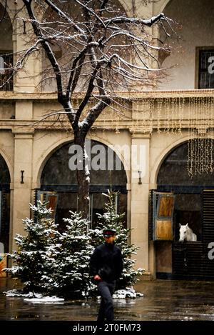 White Lipizzaner horse at the Renaissance style Stallburg imperial stable in Vienna, Austria. Stock Photo