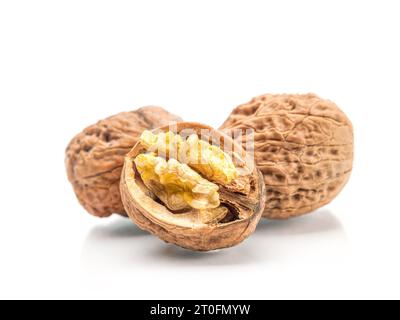Shot of two walnuts in shell and one husked shot on white background Stock Photo