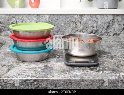 Raw food meal prep for dog in kitchen. Multiple pet food dishes and with scale. Measured ground chicken meat in portion and storing in stainless steel Stock Photo