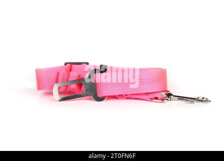 Isolated dog seat belt for cars. Pink dog seatbelt leash. Pet safety device for dogs traveling by car to prevent accidents and injuries. Strap in or b Stock Photo