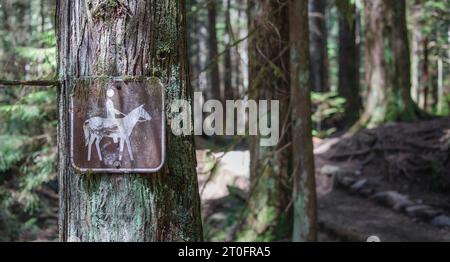 Old horse trail sign on tree in forest with defocused trail. Vintage horse ridding placard with moss on large cedar tree. Nature horseback riding back Stock Photo