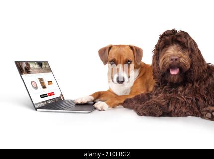 Dog ordering products online while using laptop computer with paw. Two dogs with mockup shopping card screen. Funny pet themed concept for ecommerce, Stock Photo