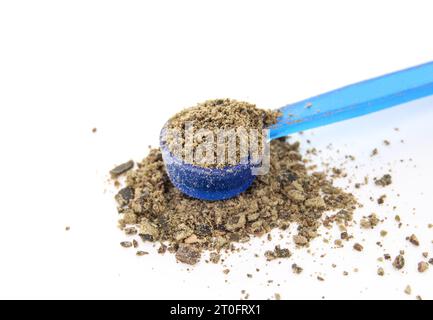 Ground kelp supplement in spoon. Green powder in small blue measuring cup. Dental health for cats and dogs naturally by dissolving tartar and plaque. Stock Photo