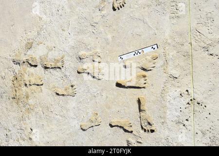 White Sands NP, United States of America. 30 January, 2020. Fossilized Ice Age human footprints set in gypsum mud that hardened to rock estimated at 23,000-21,000 years ago, October 5, 2023 in White Sands National Park, New Mexico, USA. The area around the ancient lakebed of Lake Otero is the oldest direct evidence of human presence in the Americas. Credit: National Park Service/NPS/Alamy Live News Stock Photo