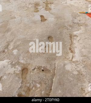 White Sands NP, United States of America. 15 January, 2020. Fossilized Ice Age human footprints set in gypsum mud that hardened to rock estimated at 23,000-21,000 years ago, October 5, 2023 in White Sands National Park, New Mexico, USA. The area around the ancient lakebed of Lake Otero is the oldest direct evidence of human presence in the Americas. Credit: National Park Service/NPS/Alamy Live News Stock Photo