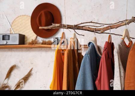 Interior of modern hallway with stylish autumn clothes hanging on tree branch Stock Photo