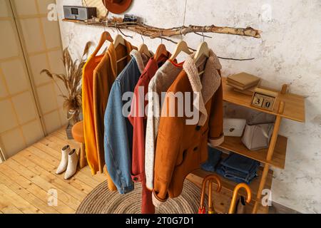 Interior of modern hallway with stylish autumn clothes hanging on tree branch Stock Photo