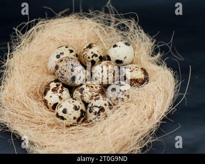 fresh quail eggs on dry straw organic farm concept Stock Photo