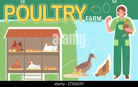 Poultry farm flat color collage with domestic birds nests and female worker holding hen and egg vector illustration Stock Vector