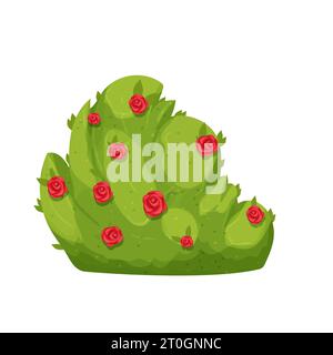Hedge green bush with red flowers forest or backyard plant with leaves in cartoon style isolated on white ackground. Game decoration, clip art. Vector illustration Stock Vector