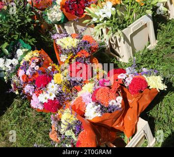 many varieties of fresh and dried flowers for sale at stall in outdoor flower market Stock Photo