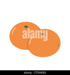 Tangerines, citrus fruit vector illustration on white isolated background. two pieces Stock Vector