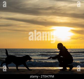 Silhouette of a black labrador retriever running towards her owner Stock Photo