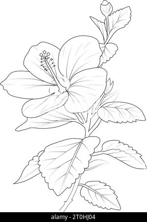 Hibiscus flower coloring pages. china rose flower drawing, Realistic ...