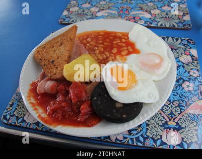 A Traditional Freshly Cooked Full English Fried Breakfast. Stock Photo