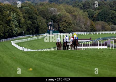 Riders during the Jim Barry Cumberland Lodge Stakes at Ascot Racecourse, Berkshire. Picture date: Saturday October 7, 2023. Stock Photo