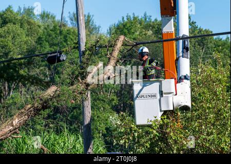 Potterville, MI - September 9, 2023: An arborist prunes trees close to power lines with a falling branch Stock Photo