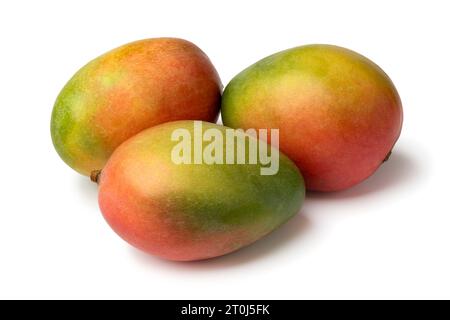 Three fresh ripe mango close up isolated on white background Stock Photo