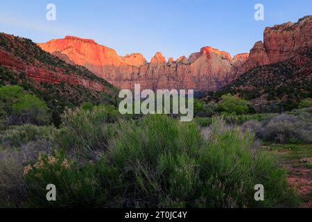 Sunrise on the Temples and Towers of the Virgin in Zion National Park Stock Photo